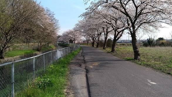 P_20180326_152435_vHDR_Auto.jpg